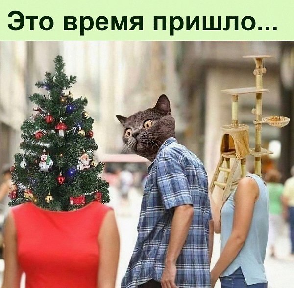 �������������� ������� �� ������ �����