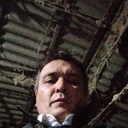 ���� �����, �����, 48 ��� - ��������� 14 ������� 2023