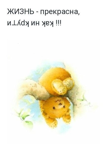 ��� ���� - 2 ������ 2022 � 11:29