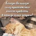 ���� �������, ������ - ��������� 12 �������� 2022 � ������ ���� ����������