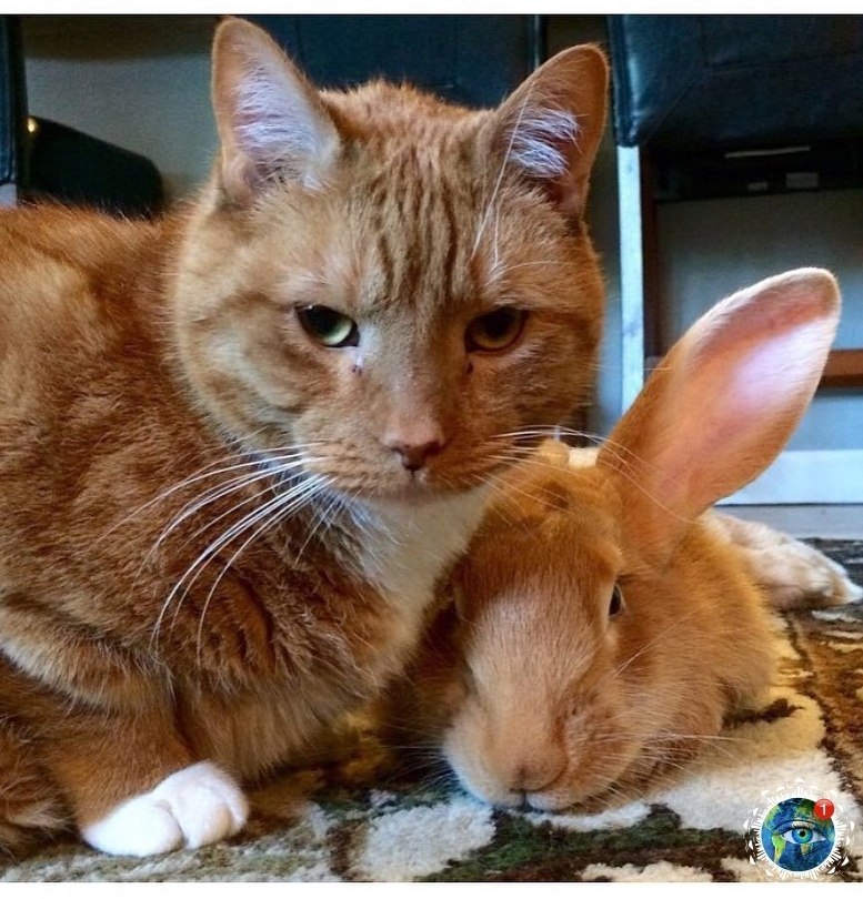 o ac  aac a o e oec ece poc  ca eo oo.  ... - 5