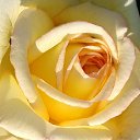 ���� �������, ������ - ��������� 7 ����� 2022 � ������ ���� ������� ���