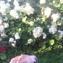 ���� �������, ������� ����, 51 ��� - ��������� 25 ������� 2022 � ������ ���� ����������