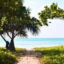 ���� ������, ������, 47 ��� - ��������� 17 ������ 2023