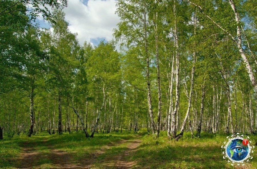 eo a  occ epe ... - 3