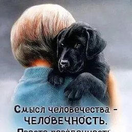 ���� ������, �����, 55 ��� - ��������� 24 ������� 2022