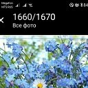 ���� ����, ������, 70 ��� - ��������� 4 ��� 2022