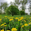 ���� �����, ������, 49 ��� - ��������� 28 ��� 2022 � ������ ��. ������ (������������� �������)�