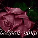 ���� ���� �������, ������, 50 ��� - ��������� 29 ������ 2023