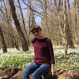 �������, ����������, 60 ���