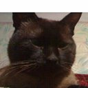 ���� �������, �������, 55 ��� - ��������� 4 ������� 2023 � ������ ���� ����������