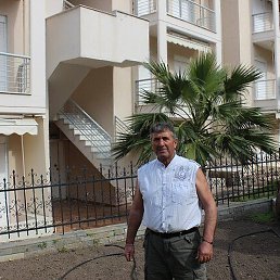 ����, ���������, 66 ���