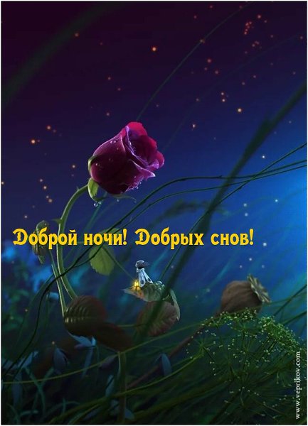 ����������� � ���������, �������� �� ������ ����. - 20 ���� 2022 � 21:40 - 2