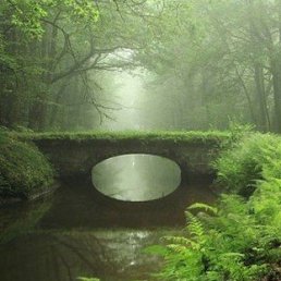 ���� Andrey, ����������, 55 ��� - ��������� 7 ������� 2023