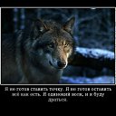 ���� ����, ����, 45 ��� - ��������� 19 ������� 2022 � ������ ���� ����������