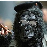 ����, 65 ���, �������