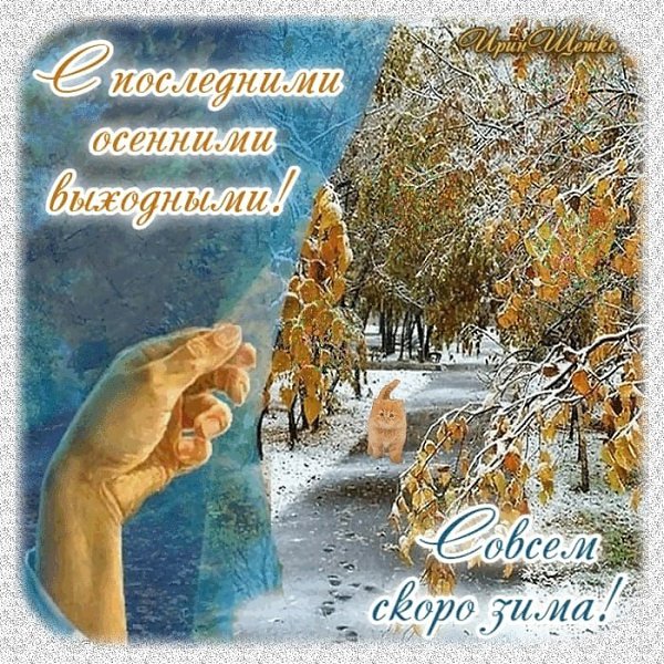 В россии последнее воскресенье ноября. С последним воскресеньем ноября. С последним днем ноября. 30 Ноября последний день осени. Открытки с последними выходными зимы.