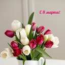 ���� �������(����), ������ - ��������� 8 ����� 2022 � ������ ������ ��������