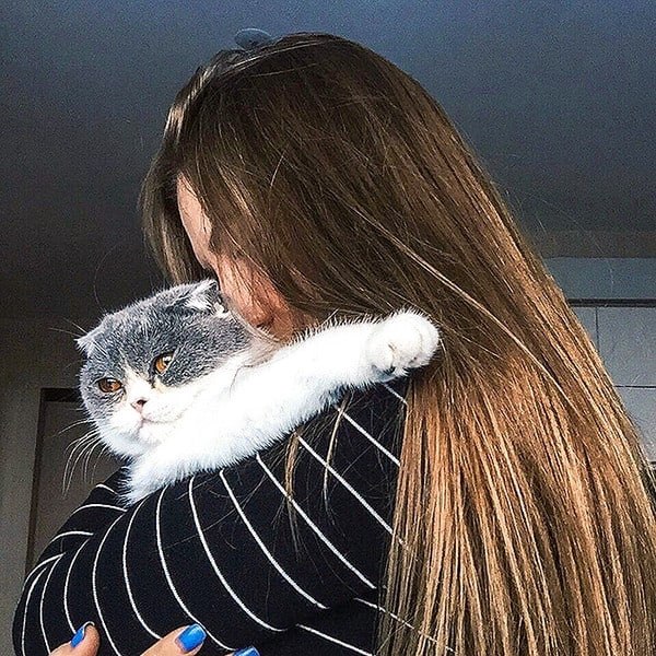 � ����� ��������� ������ - 7