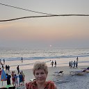 ���� �����, �����-��������� - ��������� 20 ������ 2023 � ������ ���� ����������