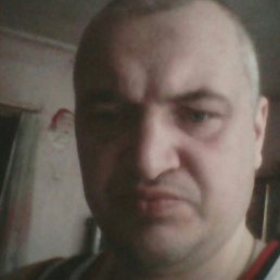 �����, �����, 46 ���