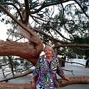 ���� �������, ����������, 71 ��� - ��������� 23 ������ 2022