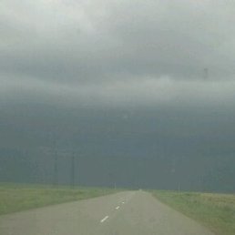 ������, ��������, 55 ���