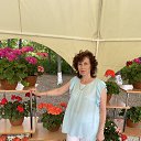 ���� ����, ������, 53 ���� - ��������� 8 ������� 2022 � ������ ���� ����������