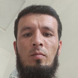 �����, �����, 31 ���