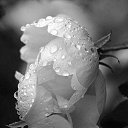 ���� �����, ����, 56 ��� - ��������� 10 ��� 2022 � ������ ������ ��������