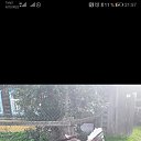 ���� �����, ���������, 52 ���� - ��������� 28 ������ 2022 � ������ ���� ����������