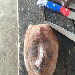 ���� ������, �������, 40 ��� - ��������� 29 ������ 2023