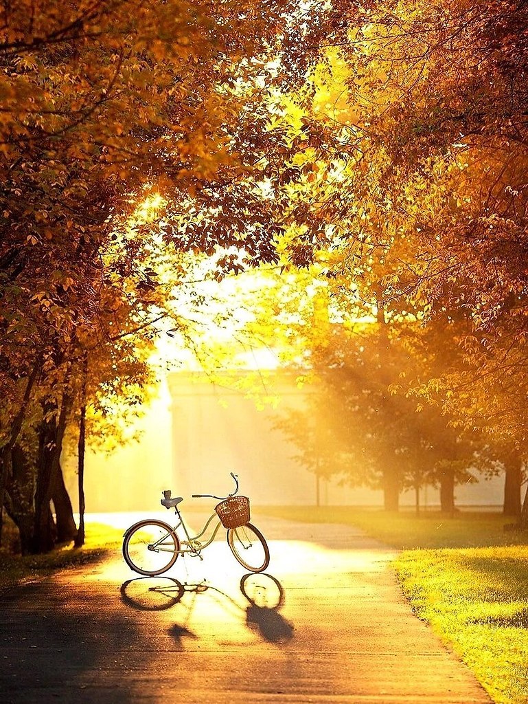   ,    . - 28  2022  21:35