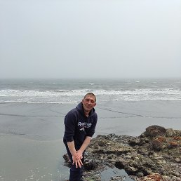 ���� �������, ����-���������, 44 ���� - ��������� 31 ��� 2022