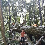 , 29 , 