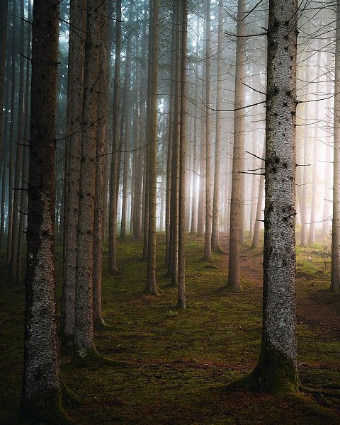 �������� ���������� � ����