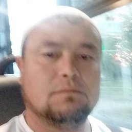 �����, �����-���������, 44 ����