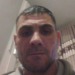 �����, ������, 48 ���