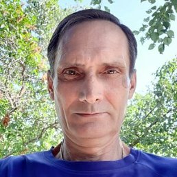 , 52 , 