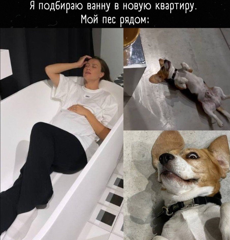   ,     