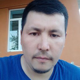 Elton, �����, 41 ���