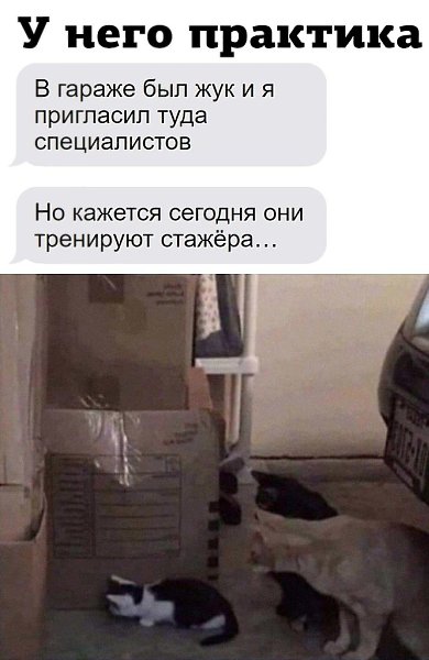  - 8  2022  11:21