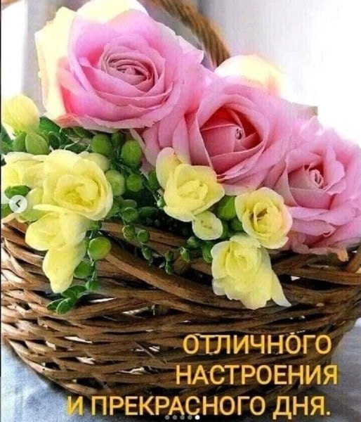   ,    . - 15  2022  13:04 - 4
