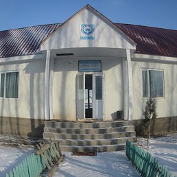 ����� ����, ��, 33 ����