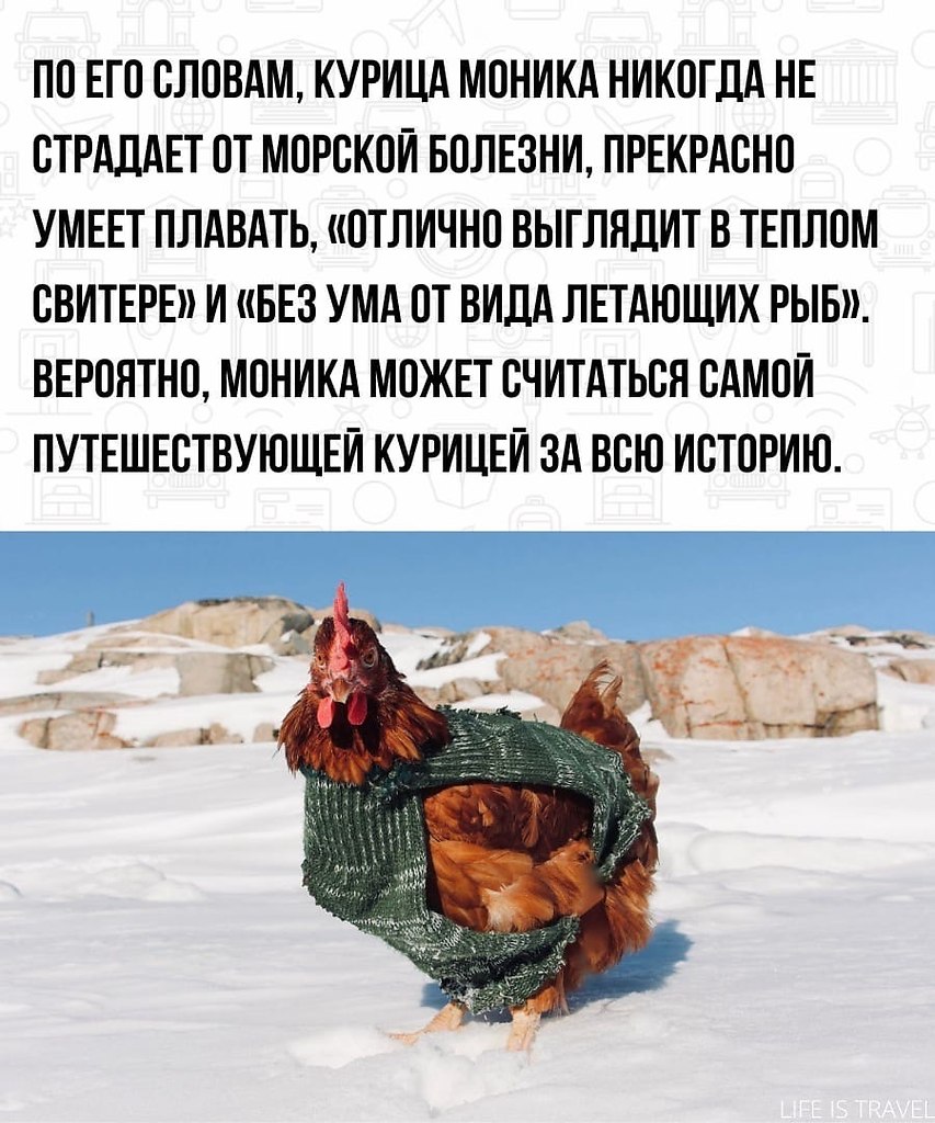   - 100%       - 3