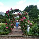 ���� �����, �����������, 74 ���� - ��������� 4 ������� 2022 � ������ ���� ����������