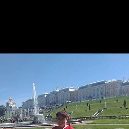 ����, �����-���������, 52 ����