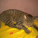 ���� ���� �������, ������, 50 ��� - ��������� 1 ������� 2022