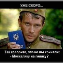 ���� ������, �������, 44 ���� - ��������� 15 ������� 2022 � ������ ���� ����������