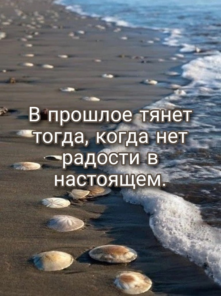   ,    . - 23  2022  20:08